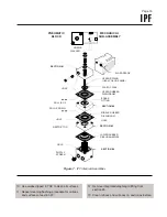 Предварительный просмотр 17 страницы Moore Industries IPF User Manual