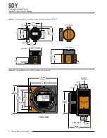 Предварительный просмотр 16 страницы Moore Industries SDY User Manual