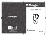 Preview for 1 page of Morgan MBL-500W User Manual