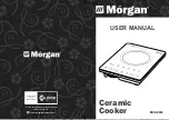 Morgan MCC-2002 User Manual preview