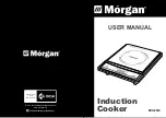 Morgan MIC-2520 User Manual предпросмотр