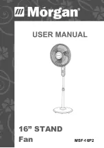 Morgan MSF-16P2 User Manual preview