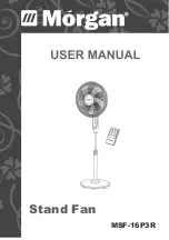 Morgan MSF-16P3R User Manual preview