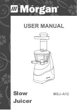 Morgan MSJ-A12 User Manual предпросмотр