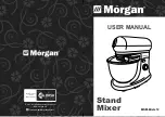Morgan MSM-Mixte 12 User Manual preview