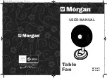 Preview for 1 page of Morgan MTF-12T1 User Manual