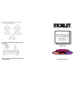 Preview for 2 page of MORLEY EEB Owner'S Manual