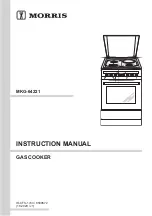 Morris MKG-64221 Instruction Manual preview