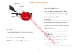 Preview for 19 page of Mortch T17-2 50CC Owner'S Manual