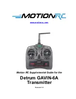 Motion RC Detrum GAVIN-6A Supplemental Manual предпросмотр