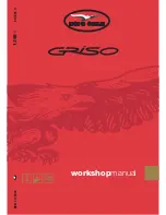 MOTO GUZZI Griso V1100 Workshop Manual предпросмотр