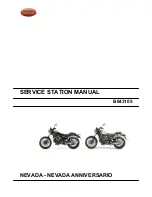 MOTO GUZZI nevada Service Station Manual preview