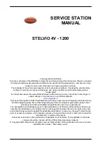 Preview for 2 page of MOTO GUZZI Stelvio 1200 4V Service Station Manual