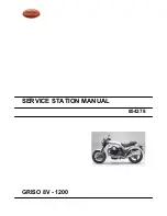 MOTO GUZZI Stelvio 1200 8V Service Station Manual preview