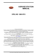 Предварительный просмотр 2 страницы MOTO GUZZI Stelvio 1200 NTX Service Manual