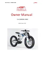 Moto Parilla CARBON E BIKE Owner'S Manual preview