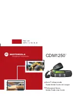 Предварительный просмотр 1 страницы Motorola CDM1250 User Manual