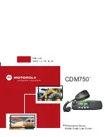 Motorola CDM750 User Manual предпросмотр