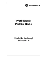 Предварительный просмотр 1 страницы Motorola GP series Detailed Service Manual