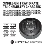 Motorola PMLN5393 Manual preview