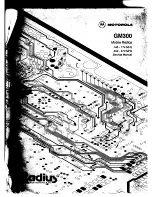 Предварительный просмотр 1 страницы Motorola RADIUS GM300 Service Manual