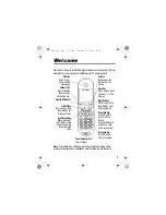 Motorola V170 Manual preview