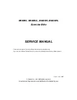 Motus M660BR Service Manual preview
