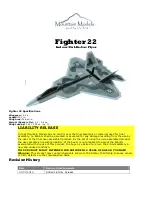 Mountain Models Fighter 22 Manual предпросмотр