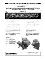 MP PUMPS PO 30 Instruction Bulletin предпросмотр