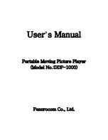 mPAVIO DDP-1000 User Manual предпросмотр