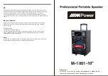 MPower M-1001-10" Instruction Manual предпросмотр