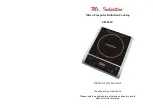 Mr. Induction SR-964T Instruction Manual предпросмотр