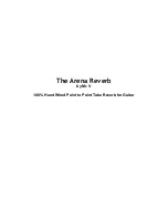 Mr. V Electronics The Arena Reveb Manual preview