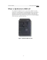 Preview for 10 page of MRV Communications OptiSwitch-2400/L3 User Manual