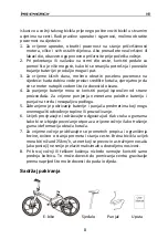 Preview for 11 page of MS ENERGY e-bike i10 Instruction Manual