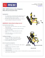 MS3C 300TS Manual preview