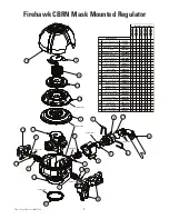 Preview for 2 page of MSA Firehawk 10043892 Maintenance And Repair