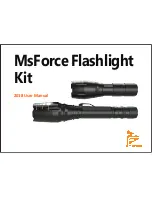 MsForce A310 User Manual preview