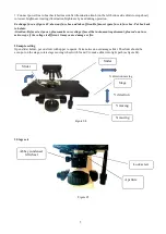 Предварительный просмотр 10 страницы MshOt MF31 Series User Manual