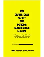 Preview for 1 page of MSI CRANE SCALE Safety And Periodic Maintenance Manual