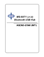 MSI MS-6871 User Manual preview