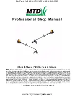 Preview for 1 page of MTD 25cc Professional Shop Manual