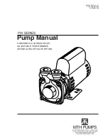 MTH PUMPS P31 Series Manual preview