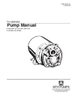 MTH PUMPS T31 Series Manual preview