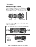 Preview for 11 page of MTHTrains Tinplate Traditions 384 Operation Manual