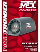 MTX 120w RMS RT8PT Manual preview