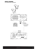 Preview for 11 page of MTX TD1000.1D Owner'S Manual