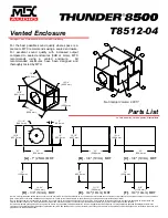 Preview for 4 page of MTX Thunder T8512-04 Connection Manual