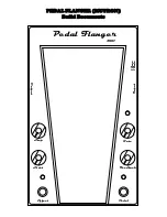 Mu-Tron Pedal Flanger 3007 Manual предпросмотр