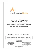 Multiglow Fires Fuori Firebox Installation, Servicing  & User Instructions preview